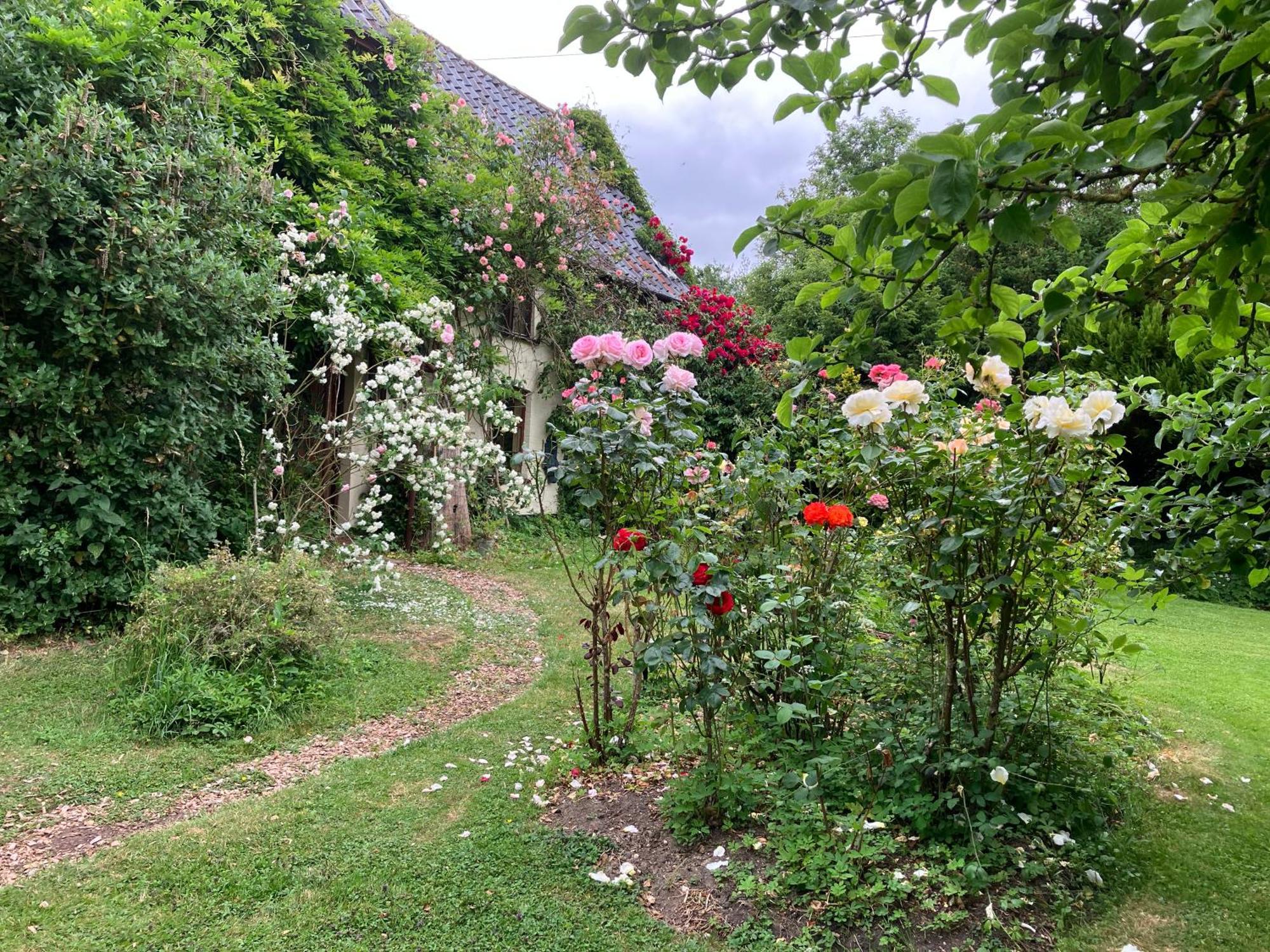 Valley Farmhouse, Westhall Redisham Luaran gambar